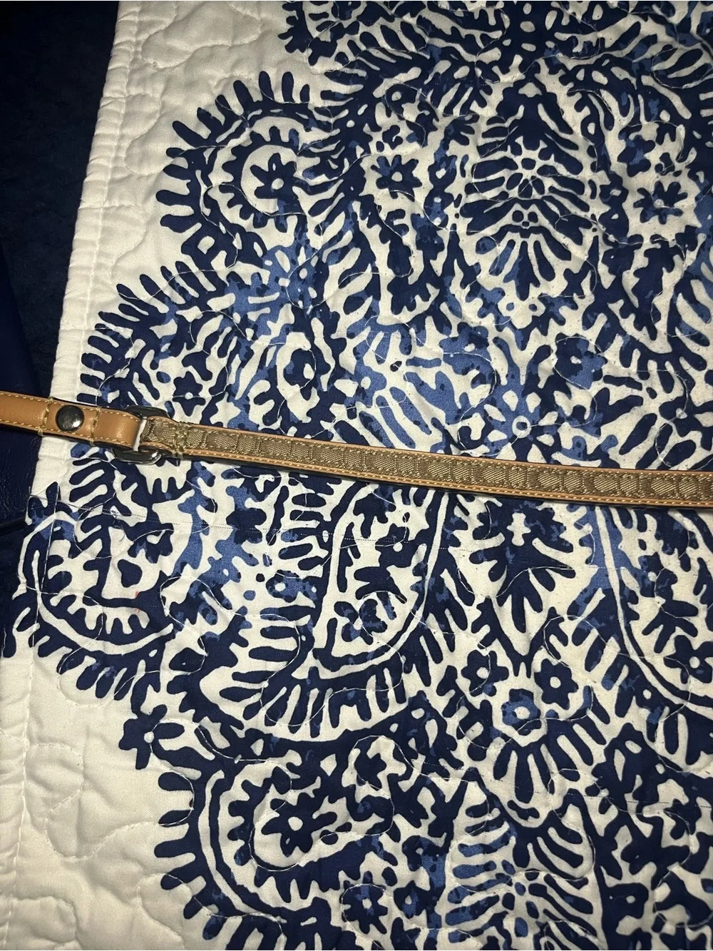 Coach premium leash
